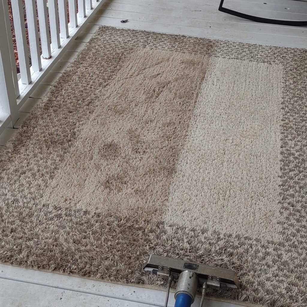 Carpet Cleaning Service