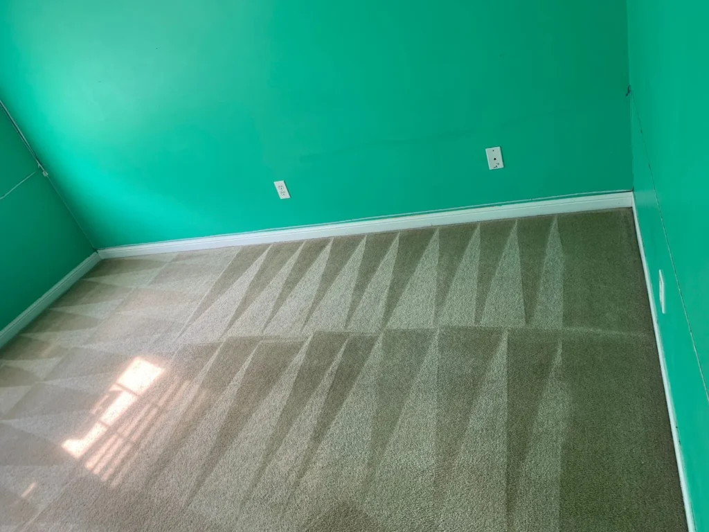 Carpet Cleaning Mississauga